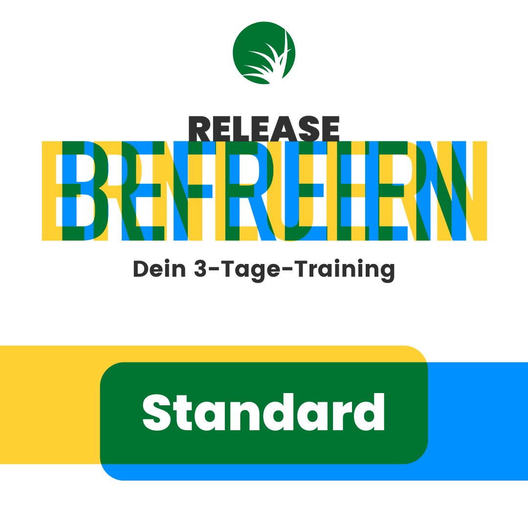 RELEASE! 11.-13.06.2027